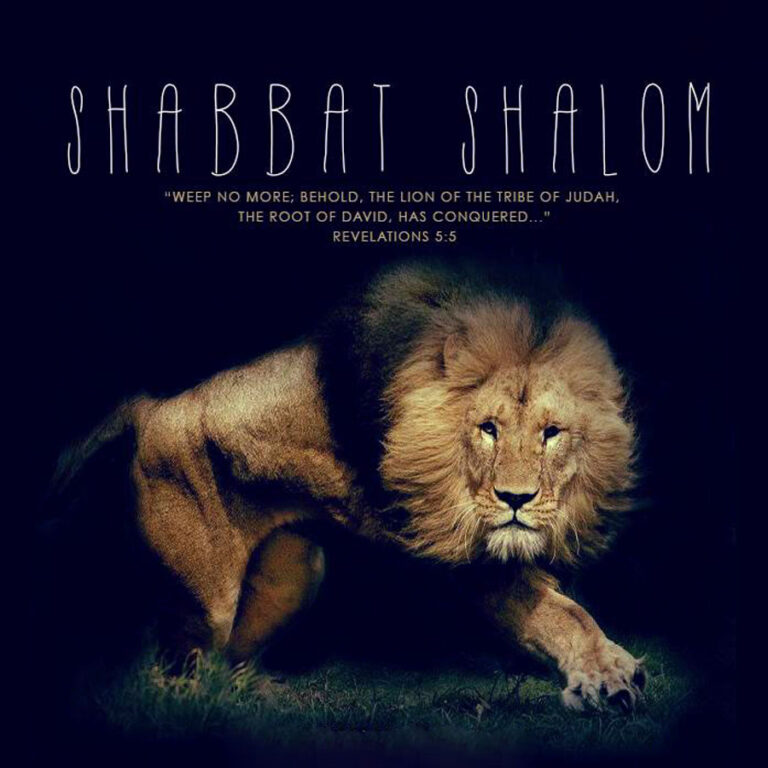 shabbat_shalom05