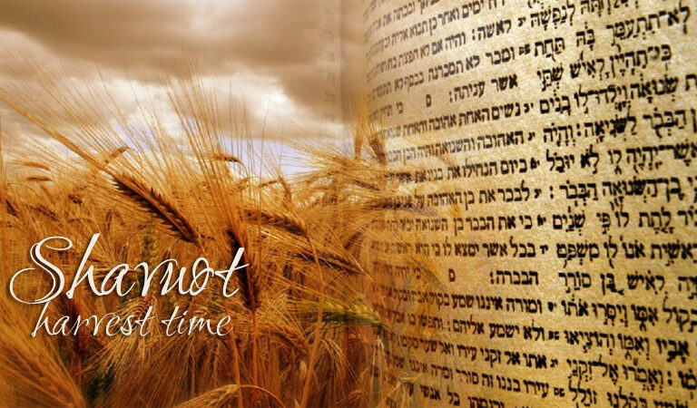 shavuot24