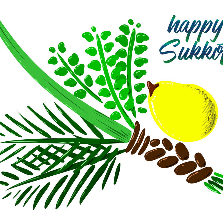 sukkot07